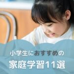 小学生におすすめの家庭学習11選 - 中学受験（受検）のアレコレ